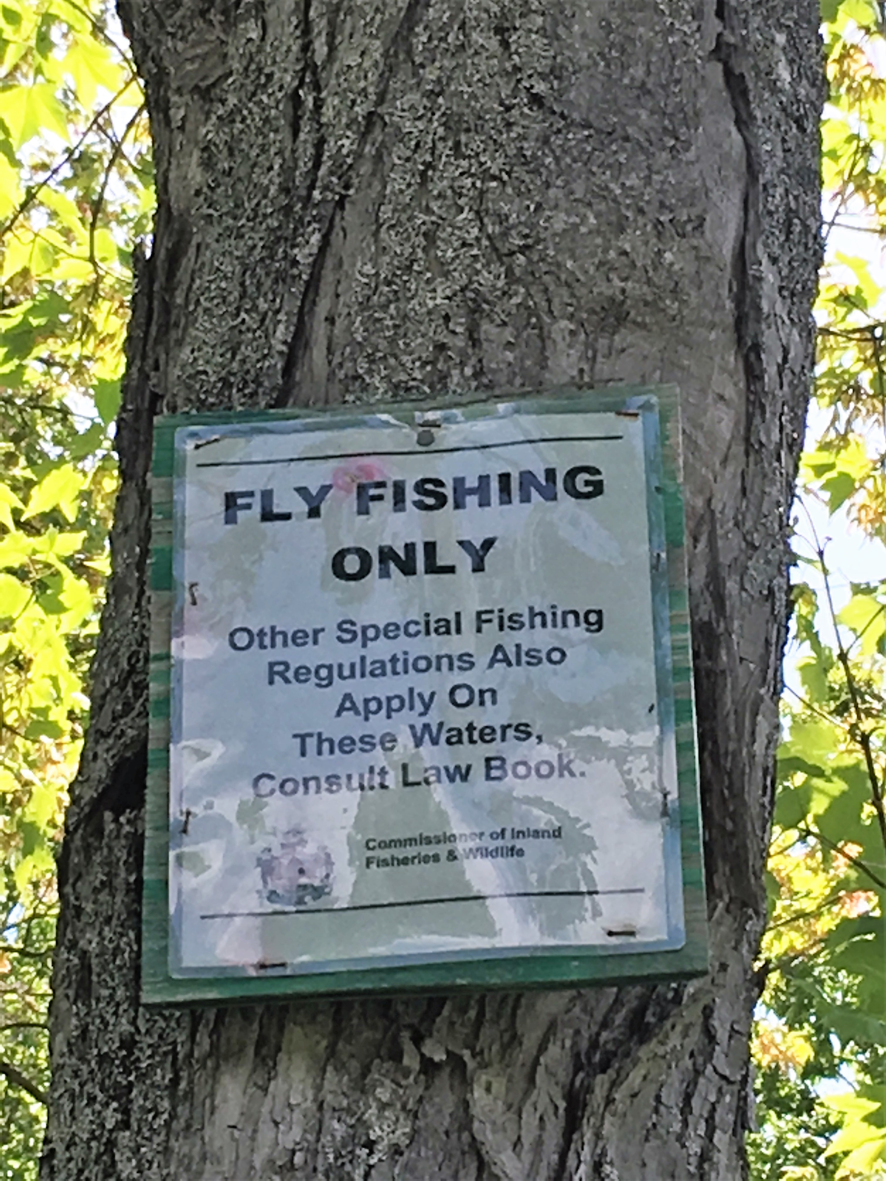 One of Many "Fly Fishing Only" Signs on the Magalloway